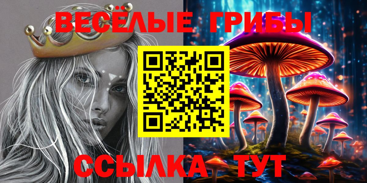 Одинцово  Псилоцибиновые грибы MAGIC MUSHROOMS  Псилоцибиновые грибы мицелий  Вход с VPN 